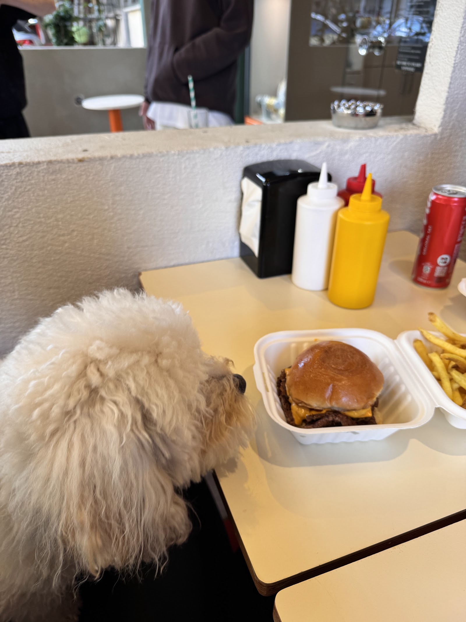Supernormal Burger Moda