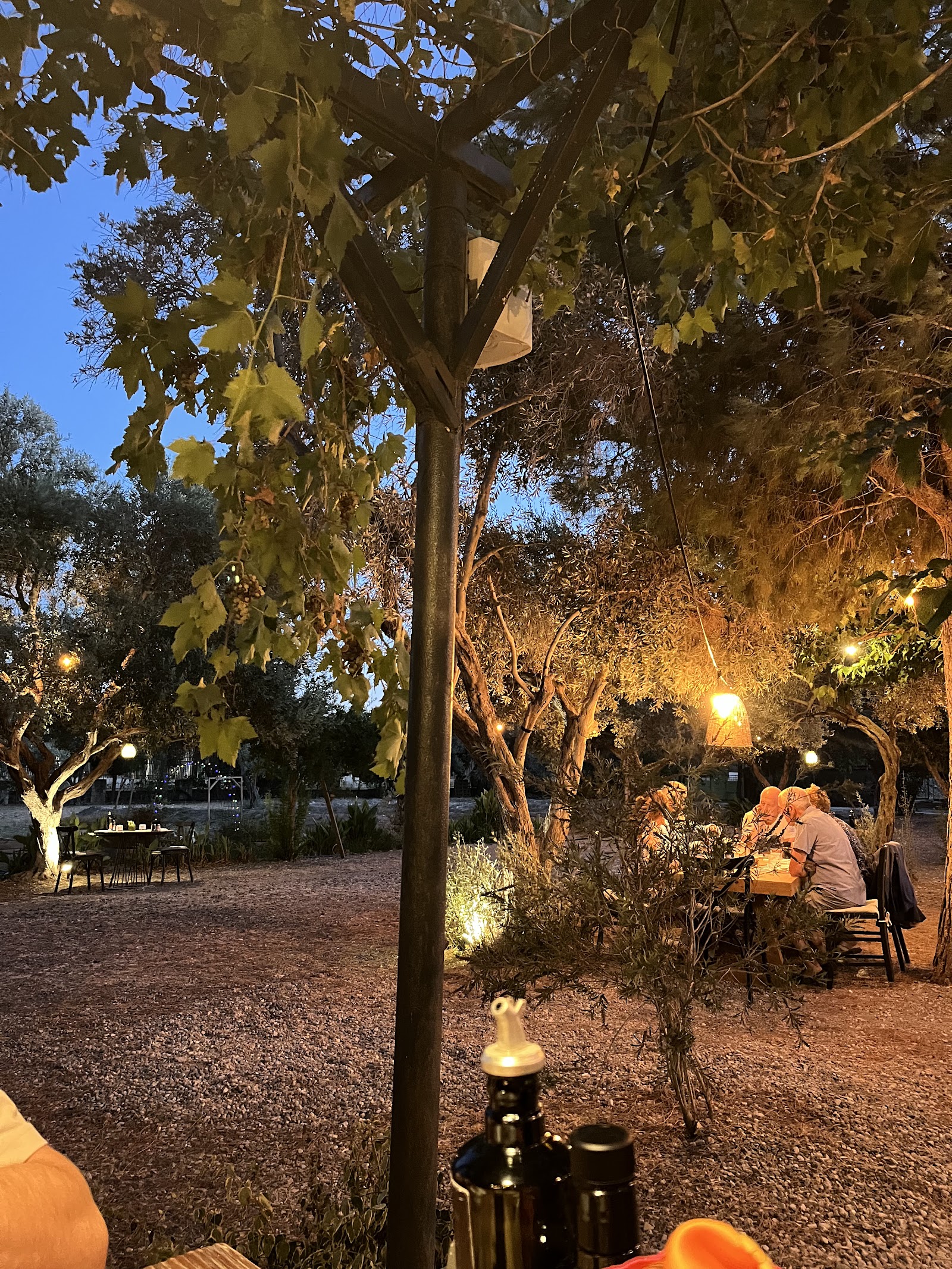 Alaçatı Zeytin Tarla