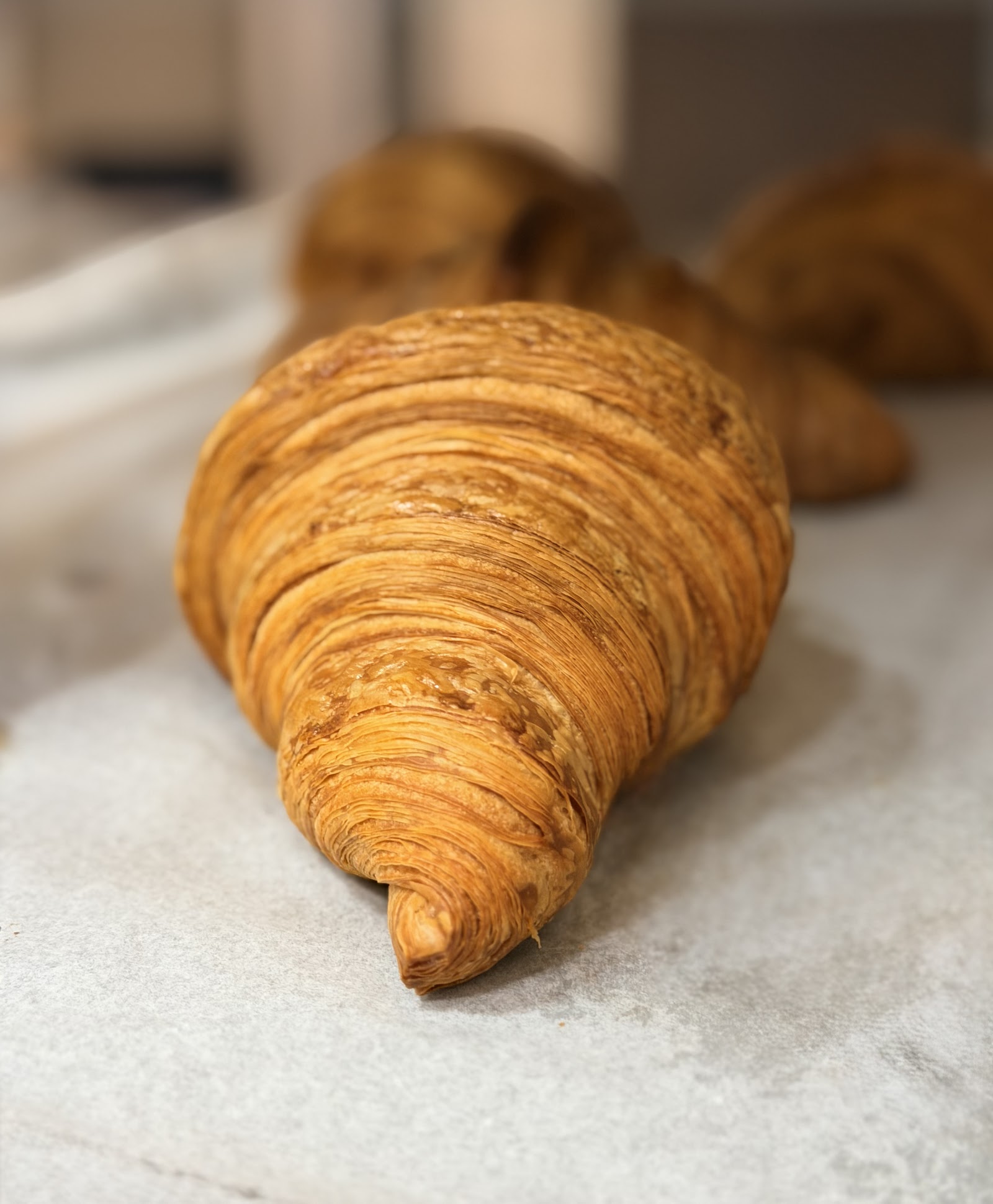 Molen Cafe Bakery