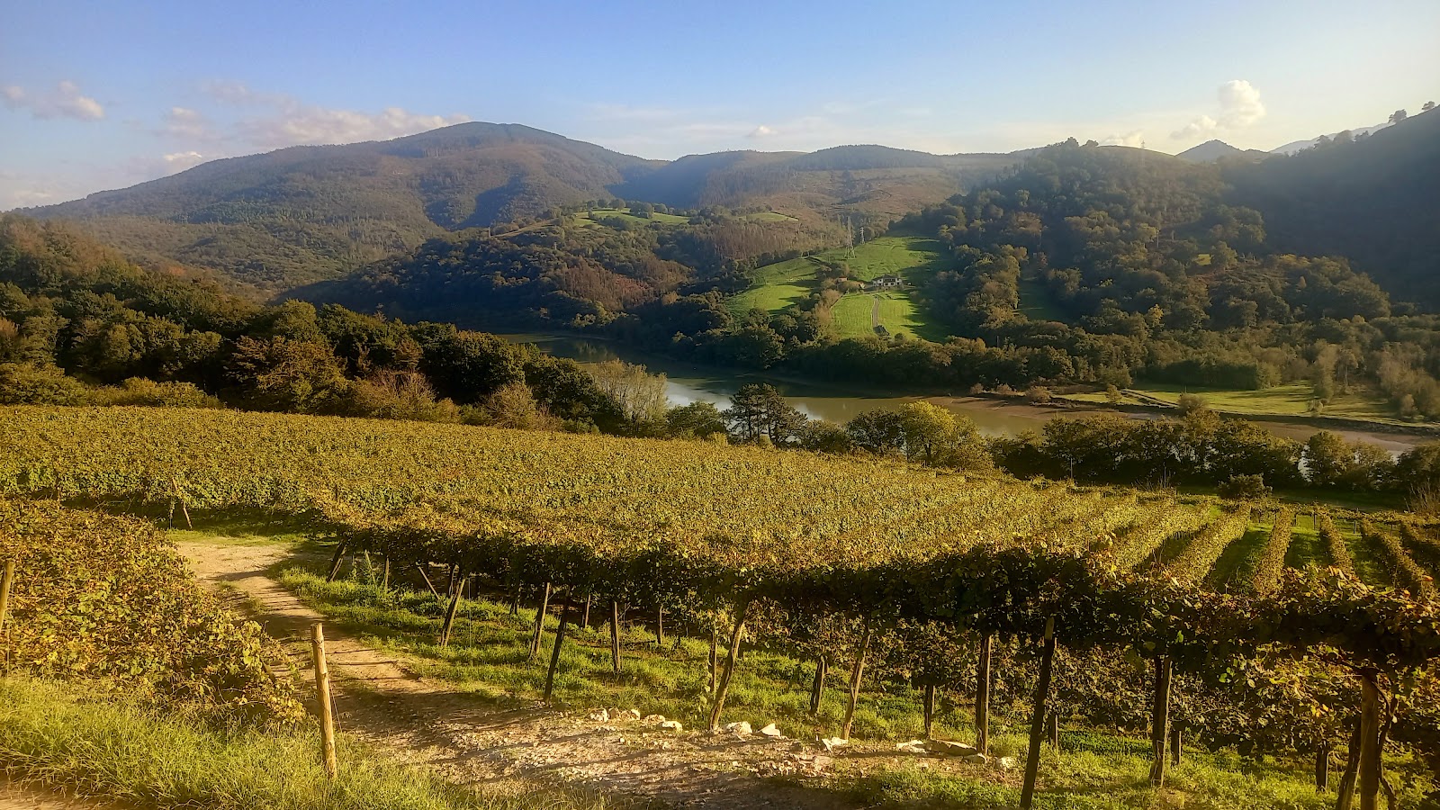 Bodega Katxiña Txakolina