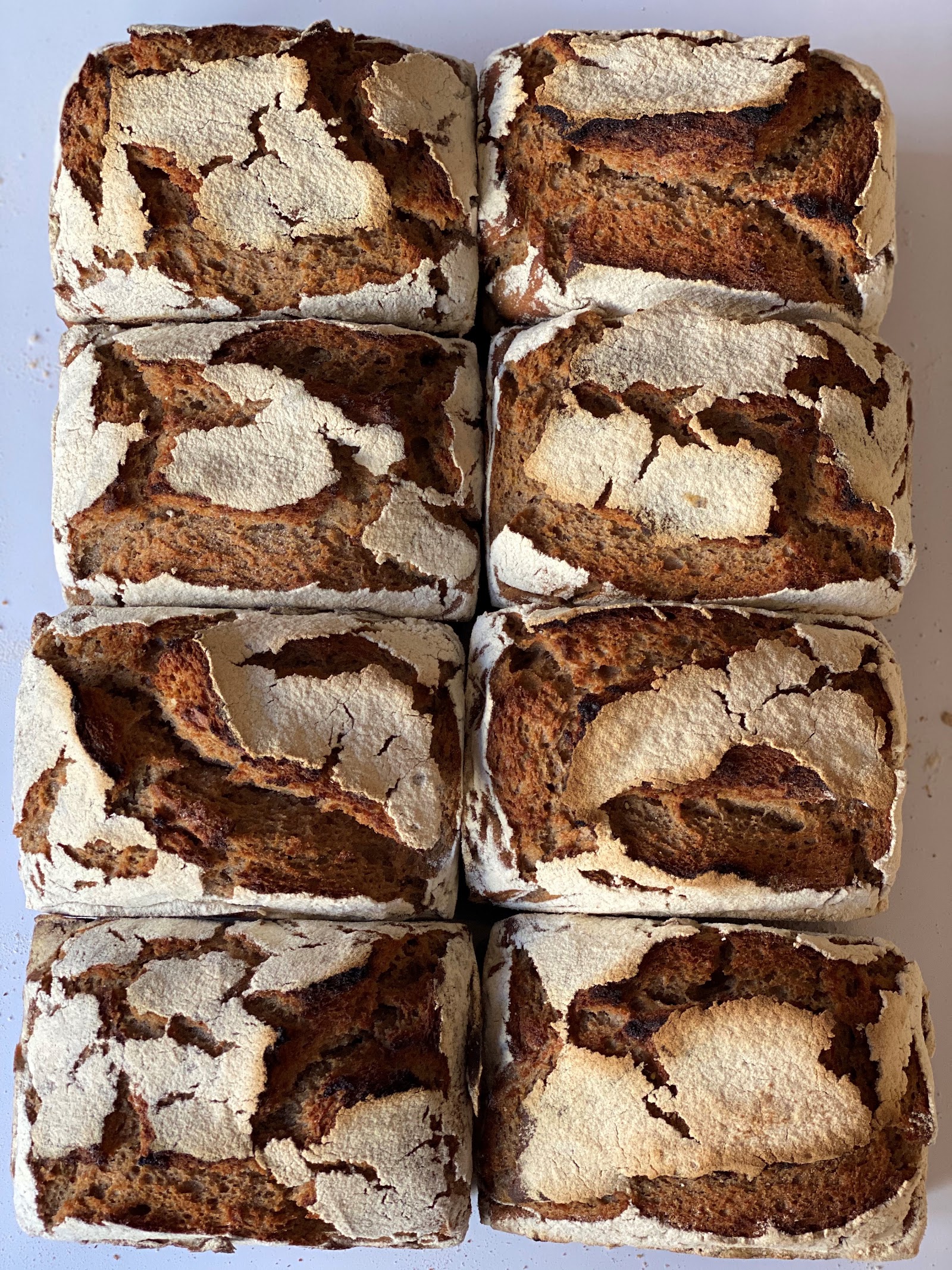 Rise Bakery