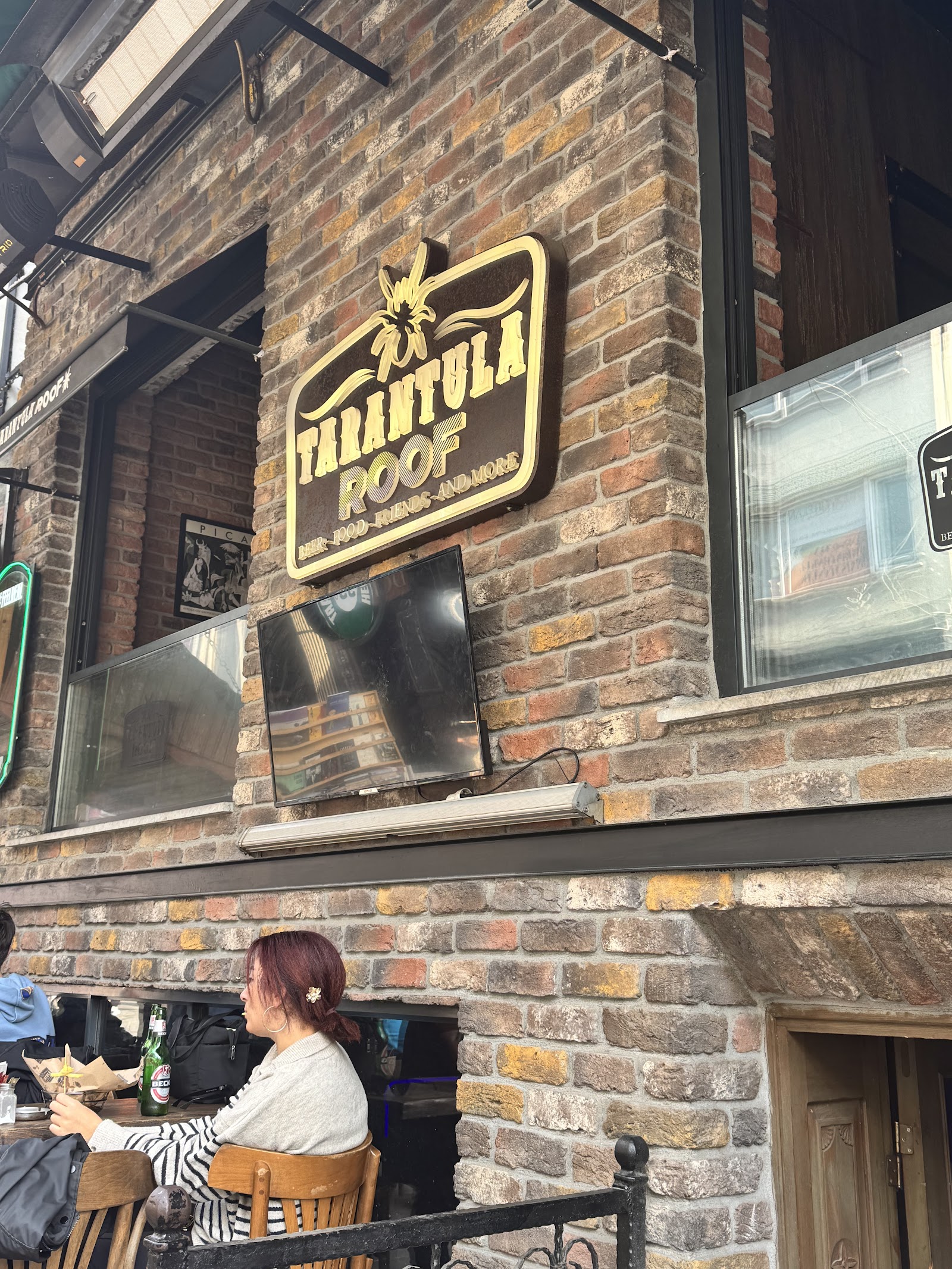 Tarantula Pub Roof