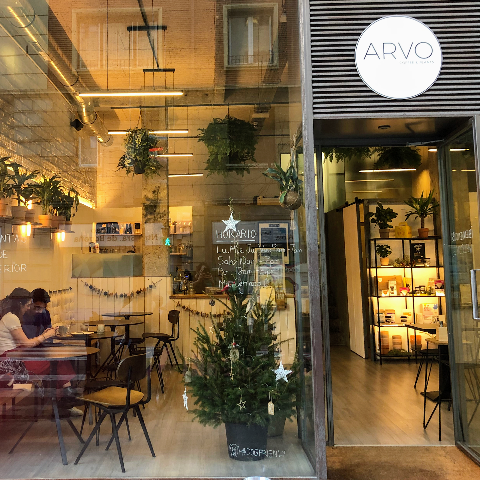 ARVO Specialty Coffee (Guggenheim)