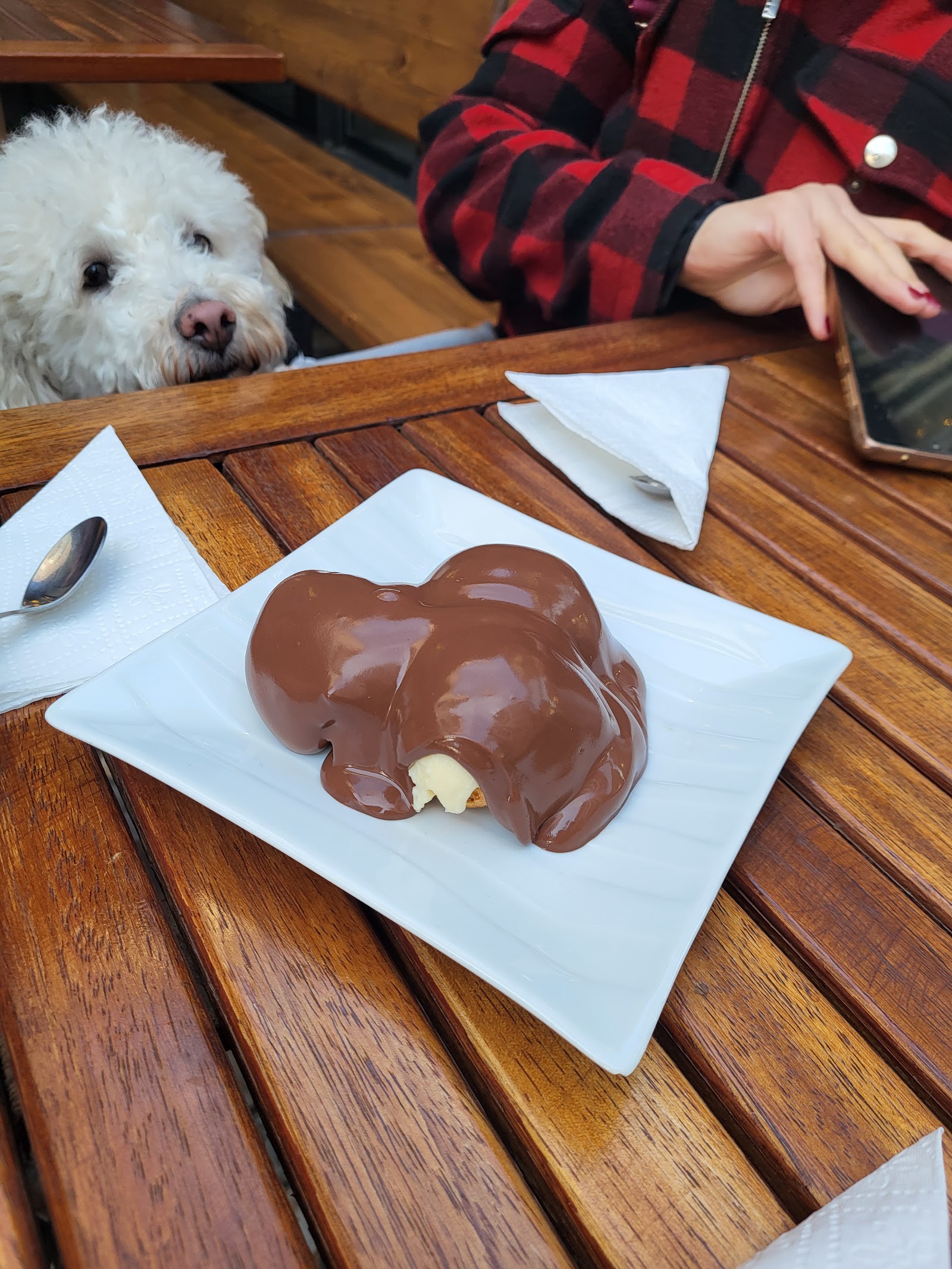 Tatlım Anna Profiterol