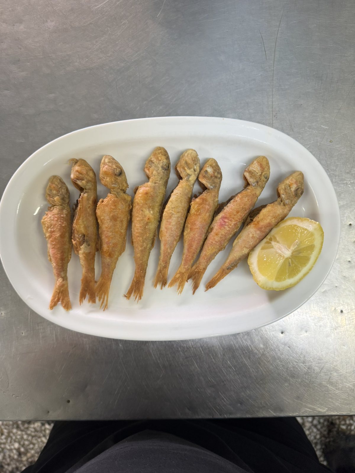 Grouper fish (Syra) \ Stavros