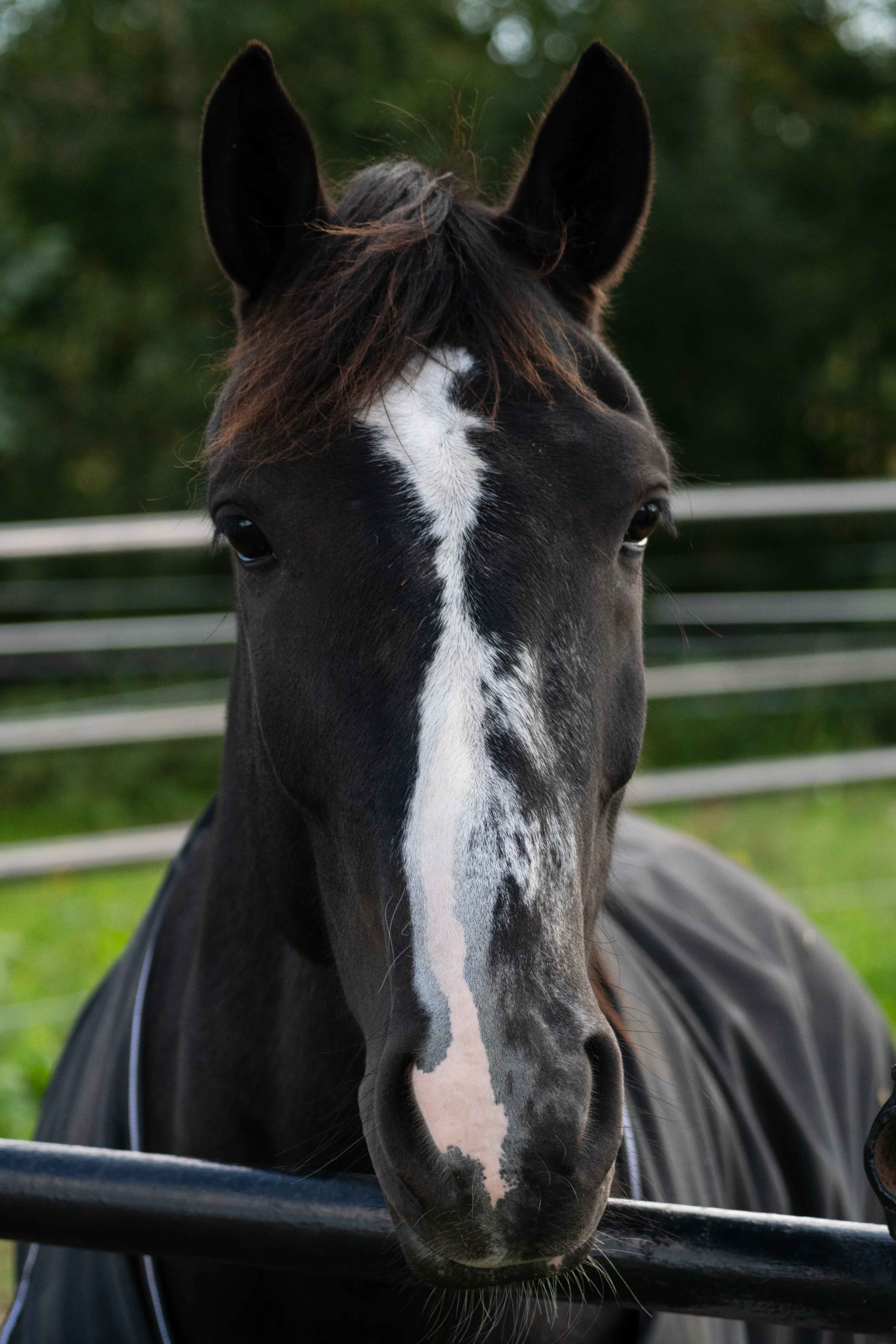 Left decorative image