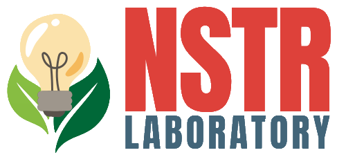 NSTRLabs Logo