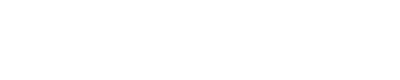 WitnessAI Documentation Logo
