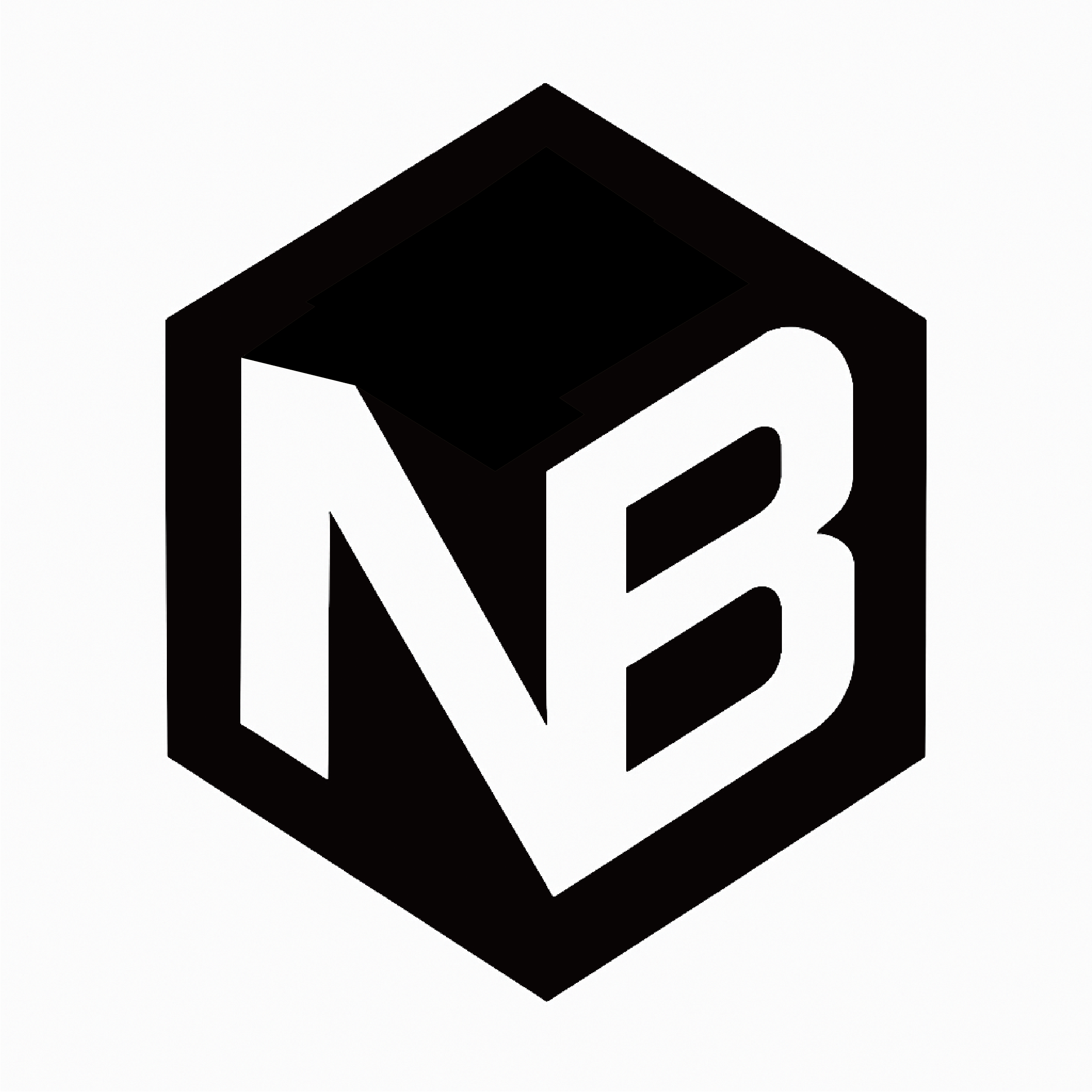 nbbranding Logo