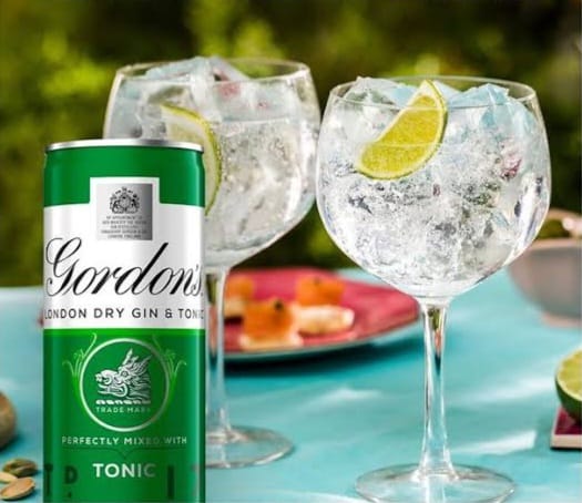 Gin Tônica   