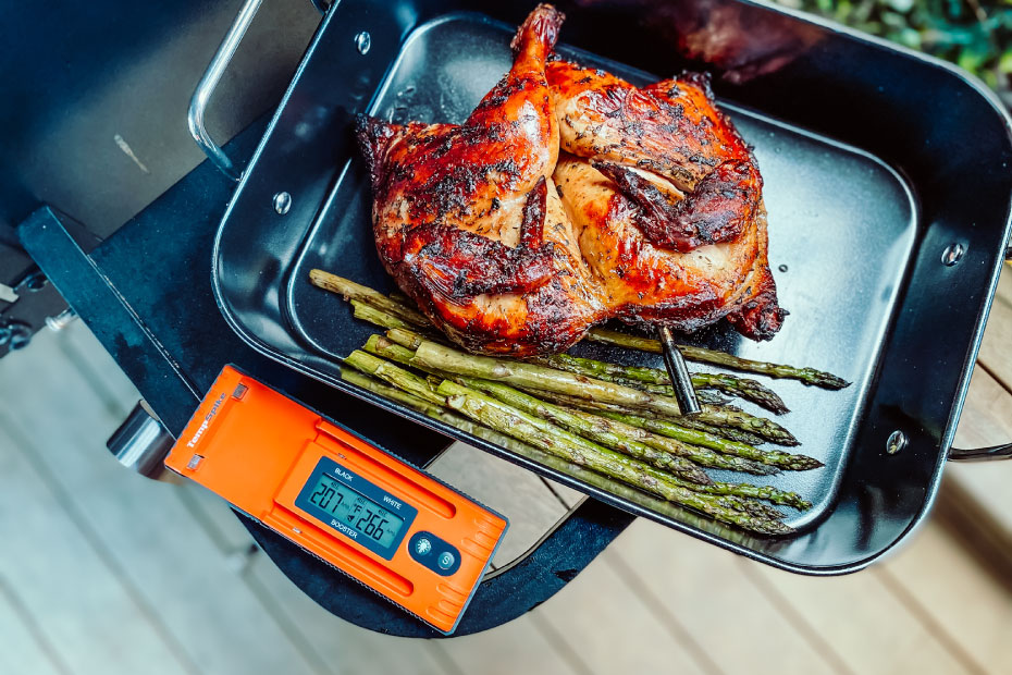 ThermoPro TempSpike Meat Thermometer