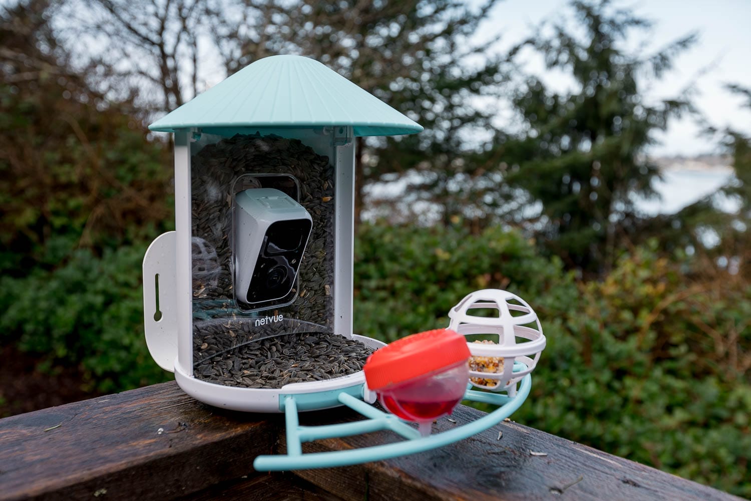 NETVUE Birdfy Smart Feeder