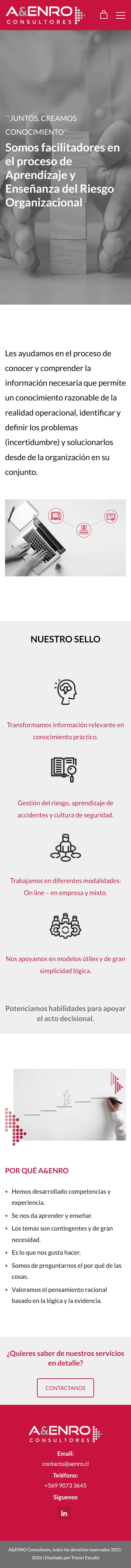 Captura móvil de A&ENRO Consultores