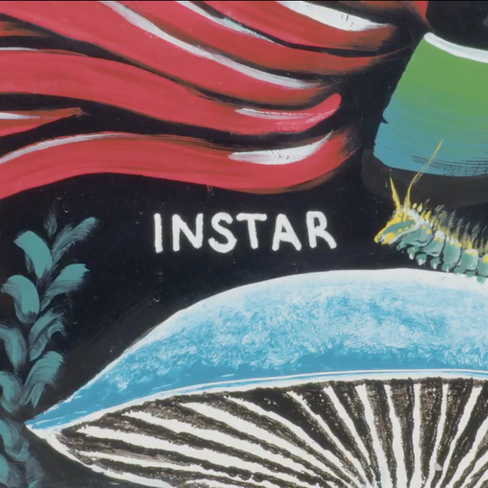 Instar