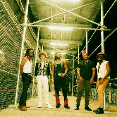 The Psycodelics