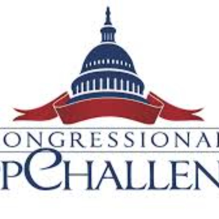 Congressional App Challenge (Interactive Space)