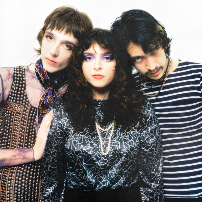 The Velveteers