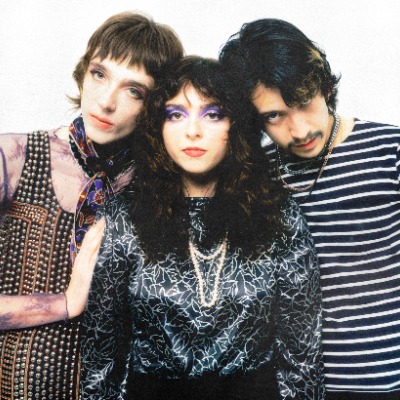 The Velveteers