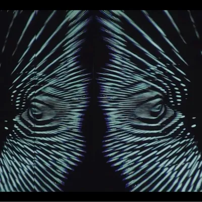 Echo - The Virtual Audio-Reactive Sensory Experience