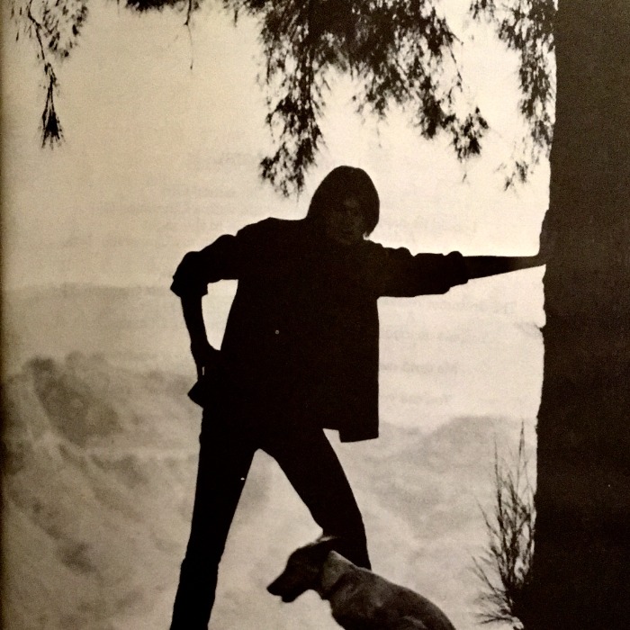 Ragged Hounds