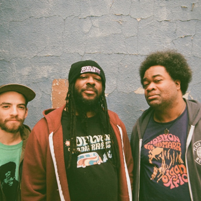 Delvon Lamarr Organ Trio