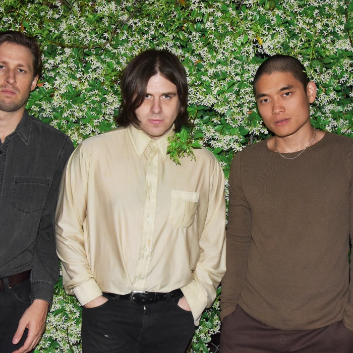 Meatbodies