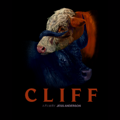 Cliff