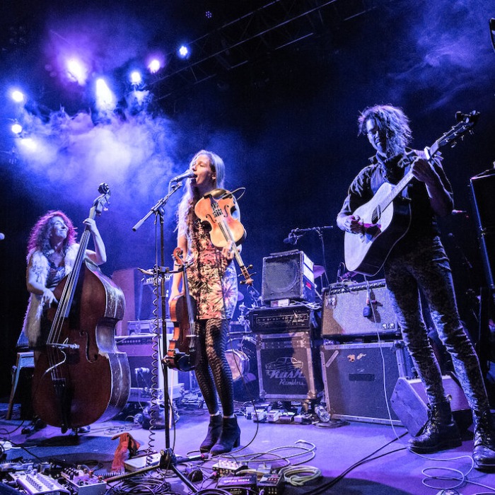 The Sweet Lillies