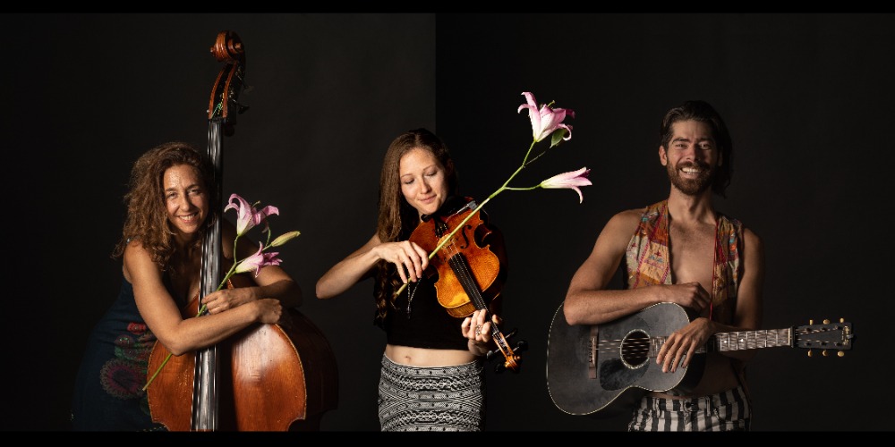 The Sweet Lillies