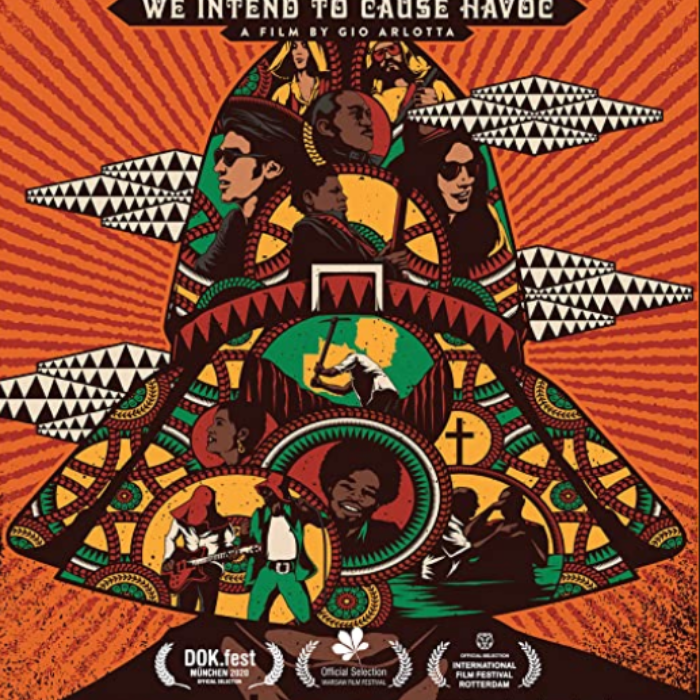 We Intend To Cause Havoc (Film)