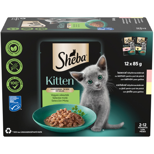 SHEBA alutas 12-pack junior 12*85g