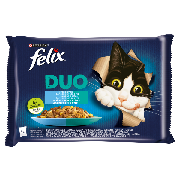 FELIX DUO Halas nedves macska 4*85g