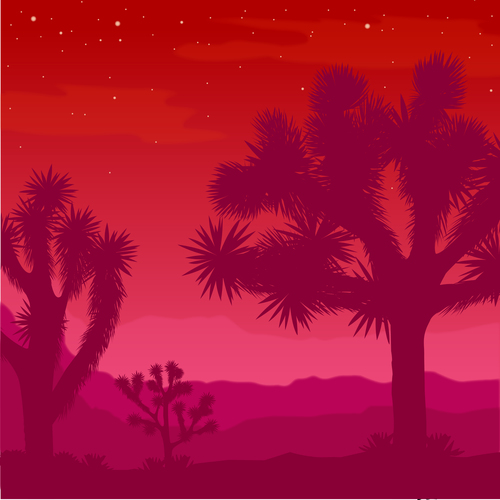 Desert Moon 
