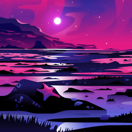 Beach Wander