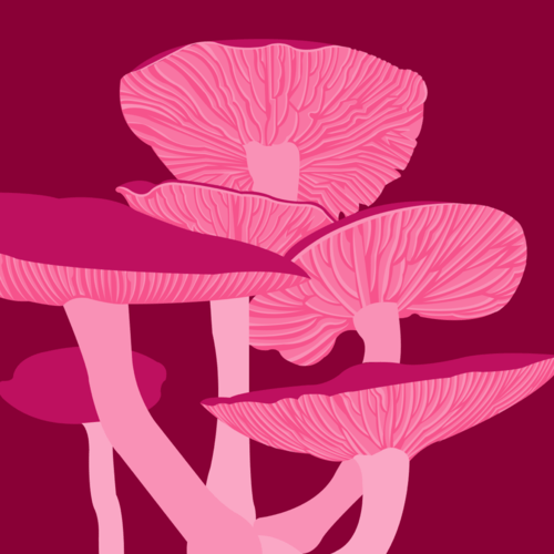 Forage