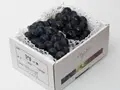 【贈答品】ピオーネ 1.2kg(1房600g以上) のサムネイル画像 1
