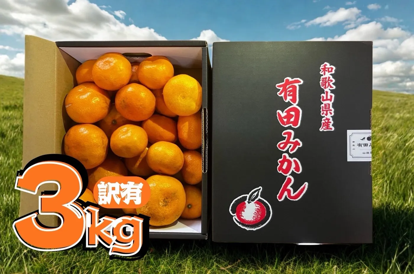 【訳あり】有田みかん 3kg