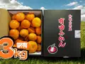 【訳あり】有田みかん 3kg のサムネイル画像 1