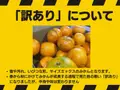 【訳あり】有田みかん 3kg のサムネイル画像 2