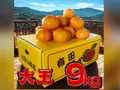 【訳あり】どデカい有田みかん 9kg のサムネイル画像 1