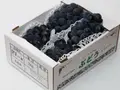 【贈答品】ピオーネ 2kg(3〜4房入り) のサムネイル画像 1