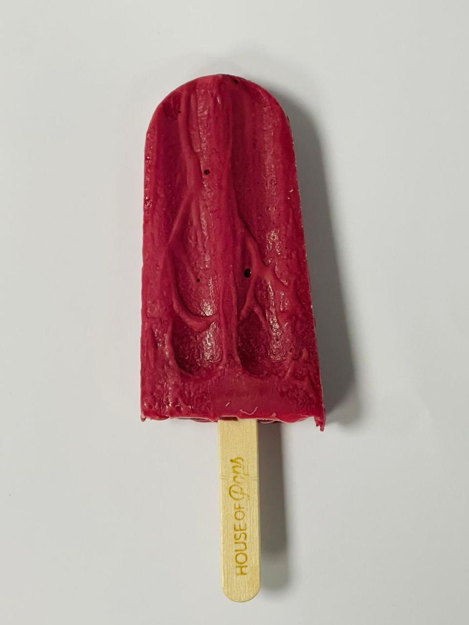 House of Pops Assorted Ice Pop