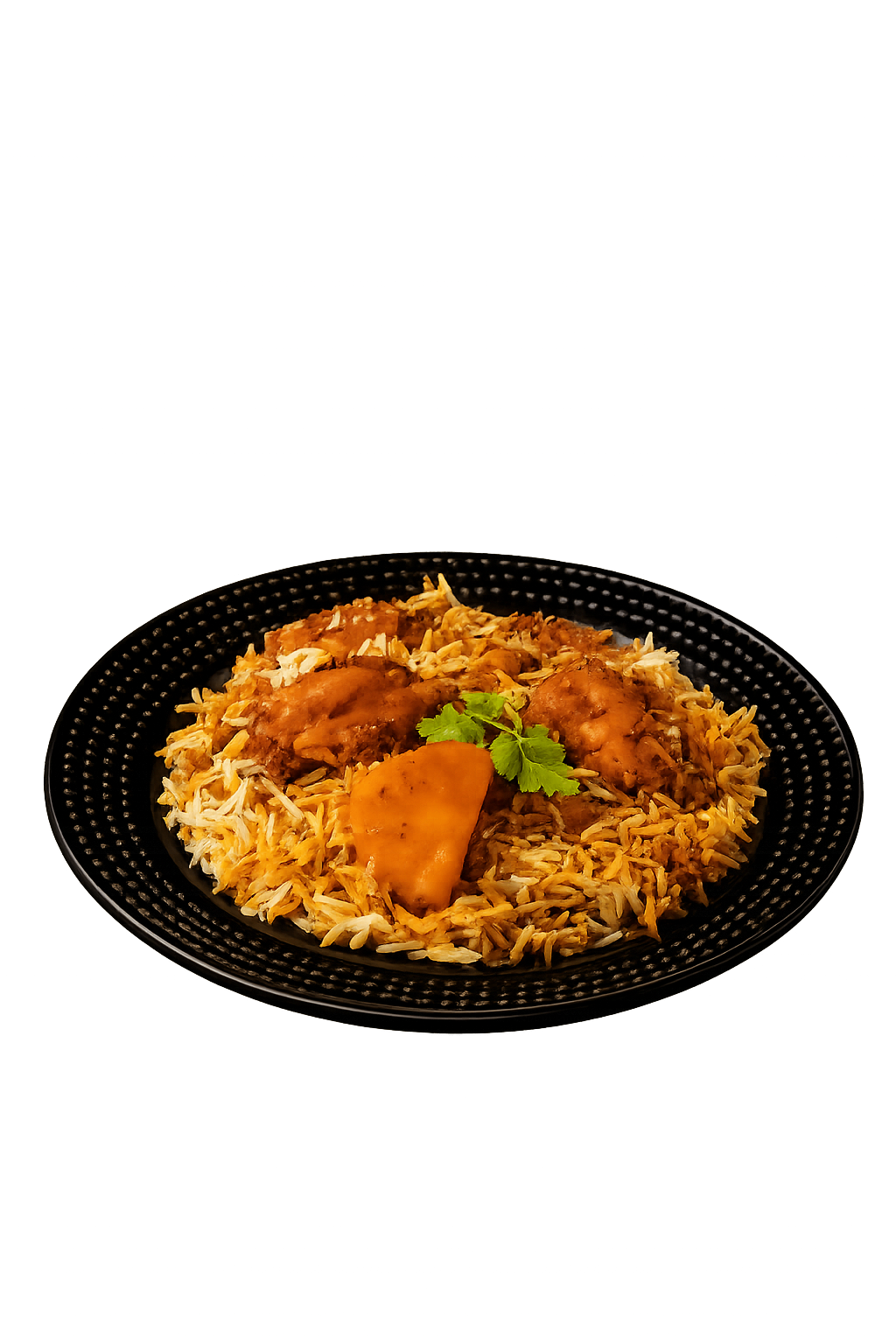 DSS CHICKEN BIRYANI
