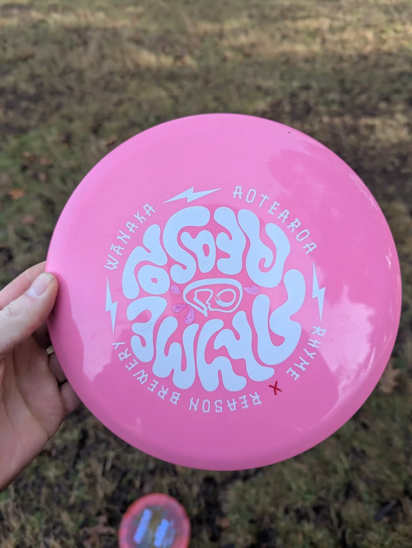 Pink w/ whitenletters RPM Discs Piwakawaka