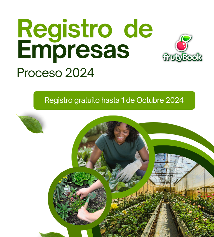otra slide