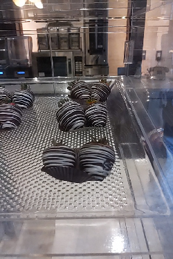 Dipped Strawberry (Seasonal)