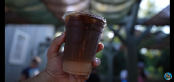 Honey Cream Cold Brew