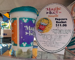 Magic Key Popcorn Bucket