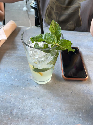 New Orleans Mint Julep