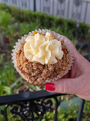 Pumpkin Muffin